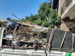 Best Dumpster Rental Services  in Richmond, IN